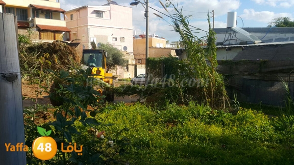 jarrafat hadm sa77a (5).JPG